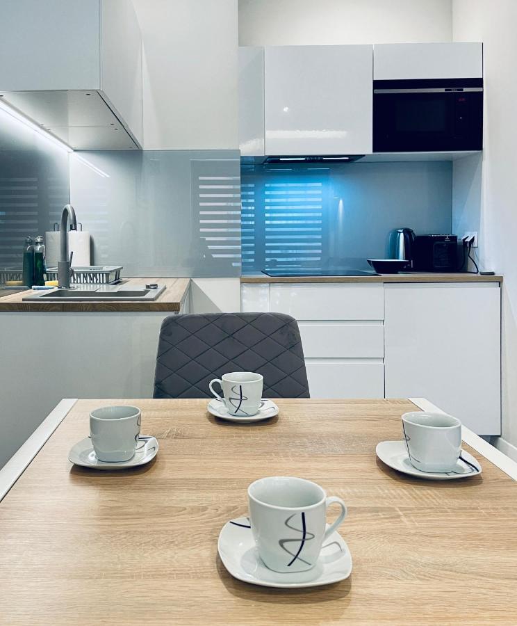 Modern Silver Apartment Krasków Eksteriør bilde